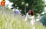 Điều kỳ diệu bên bờ sông Tô Lịch